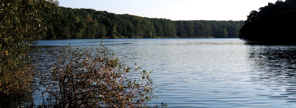 Schlachtensee im Sommer