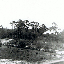 Ein Stück Geschichte